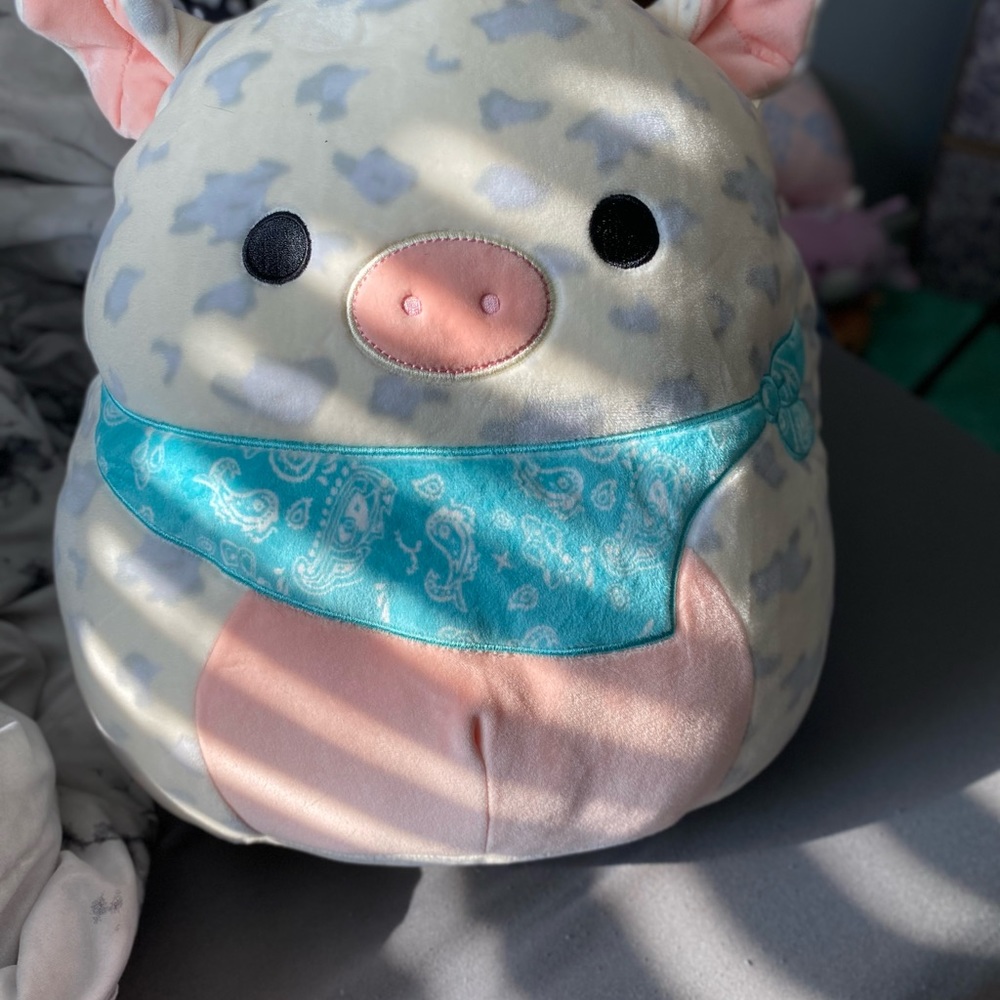 Squishmallows!! Sizes vary as well as prices! - Picture 2 of 5